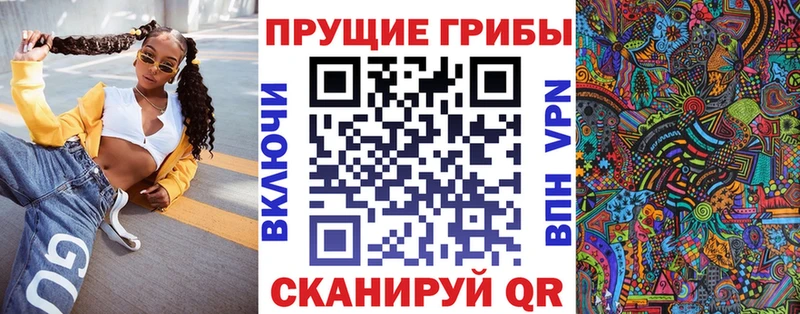 Купить  Ступино  Галлюциногенные грибы Psilocybine cubensis 